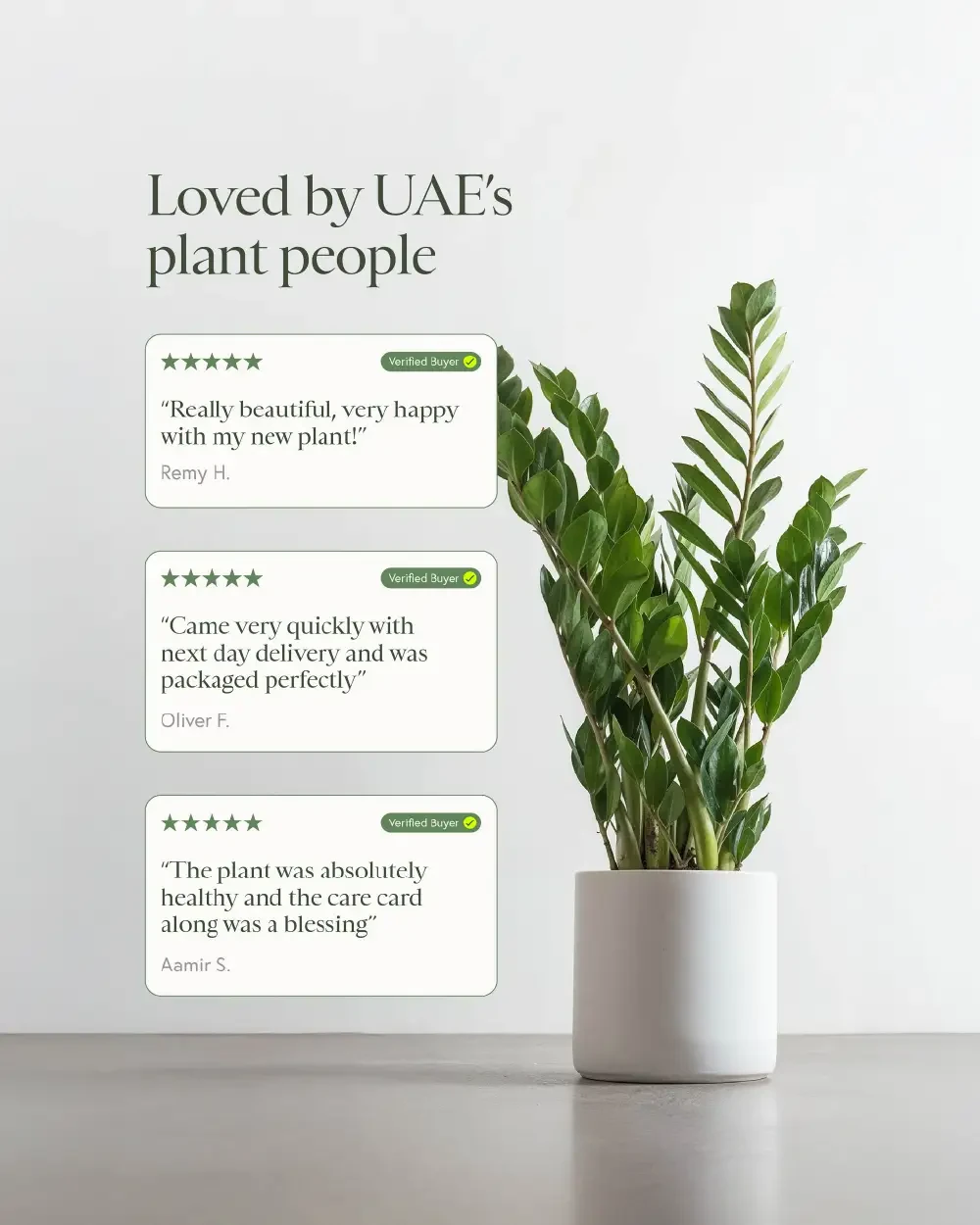 Static ad for a plant pot brand with customer reviews