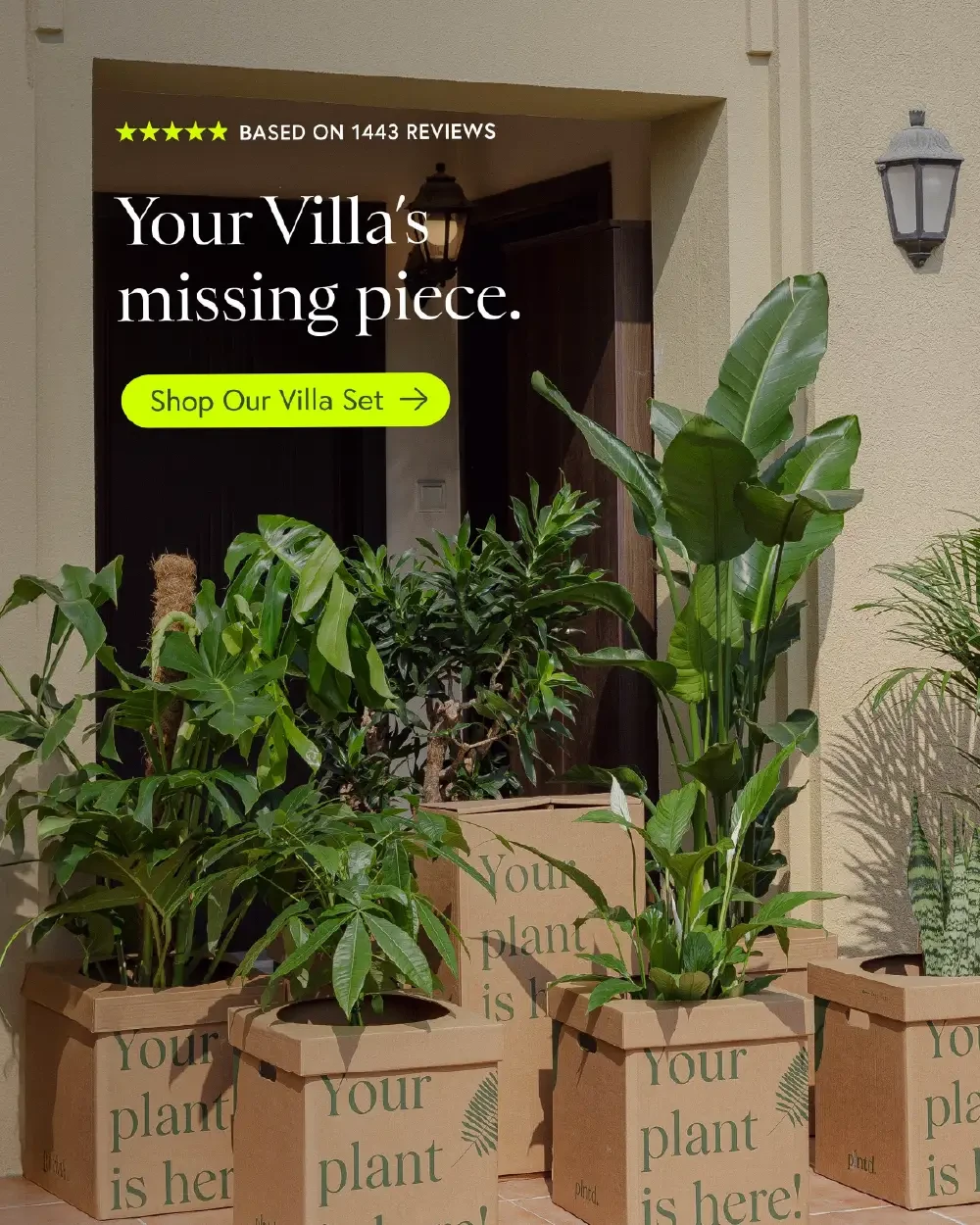 Static ad for villa plants